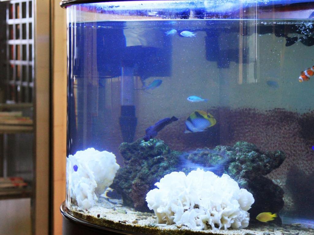 Hotel Areaone Kagoshima Esterno foto